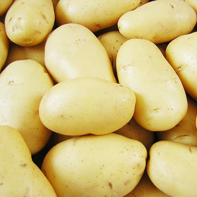 Batata Branca
