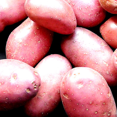 Batata Rosa