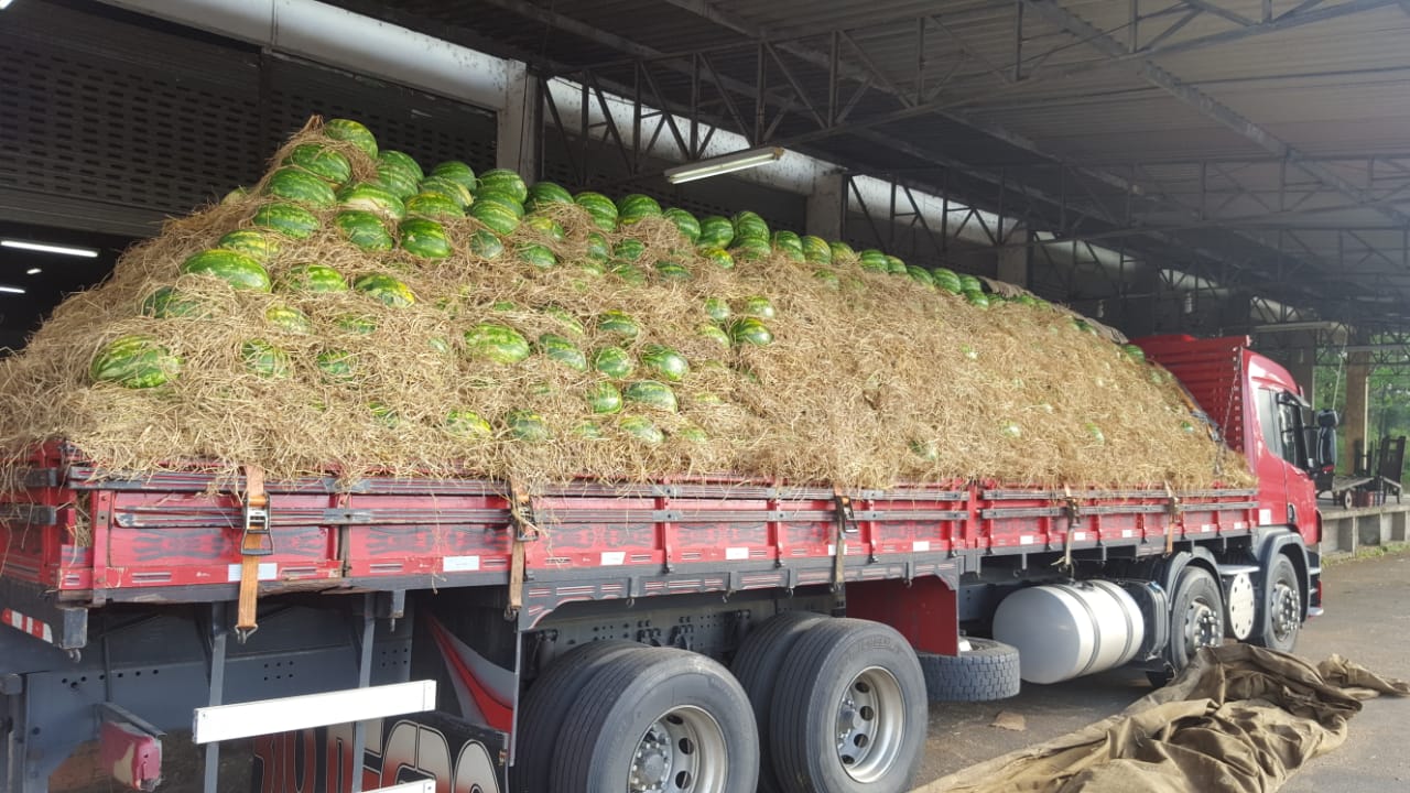 Frutas Frescas